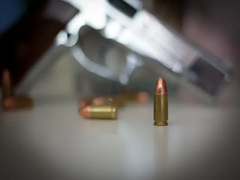 Armas de fogo 6