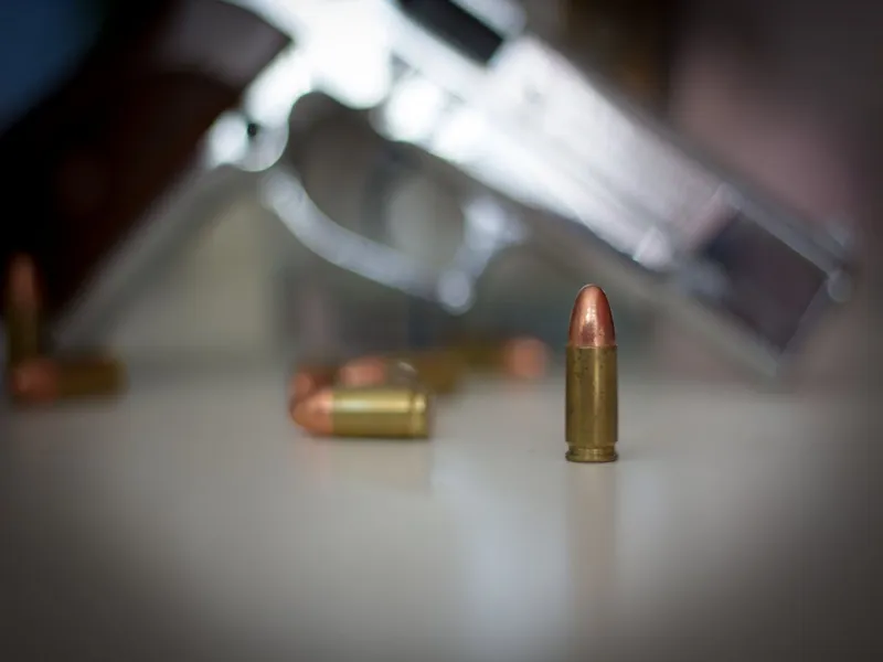 Armas de fogo 6