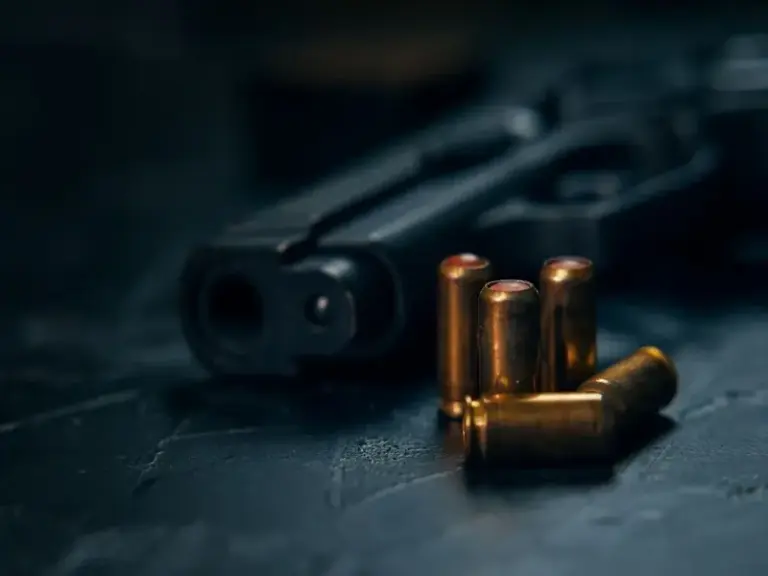 Armas no Paraguai: Qualidade e Procedência 4 armas de fogo paraguai Fire